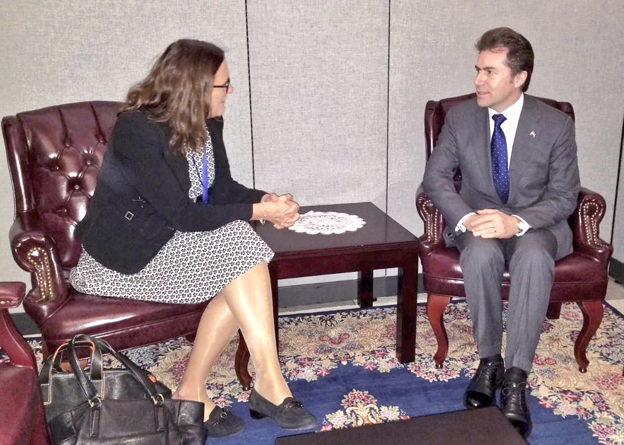 Reunión entre el Ministro de Relaciones Exteriores del Paraguay, S.E. Luis Castiglioni, y la Comisaria de la UE para el Comercio, Sra. Cecilia Malström