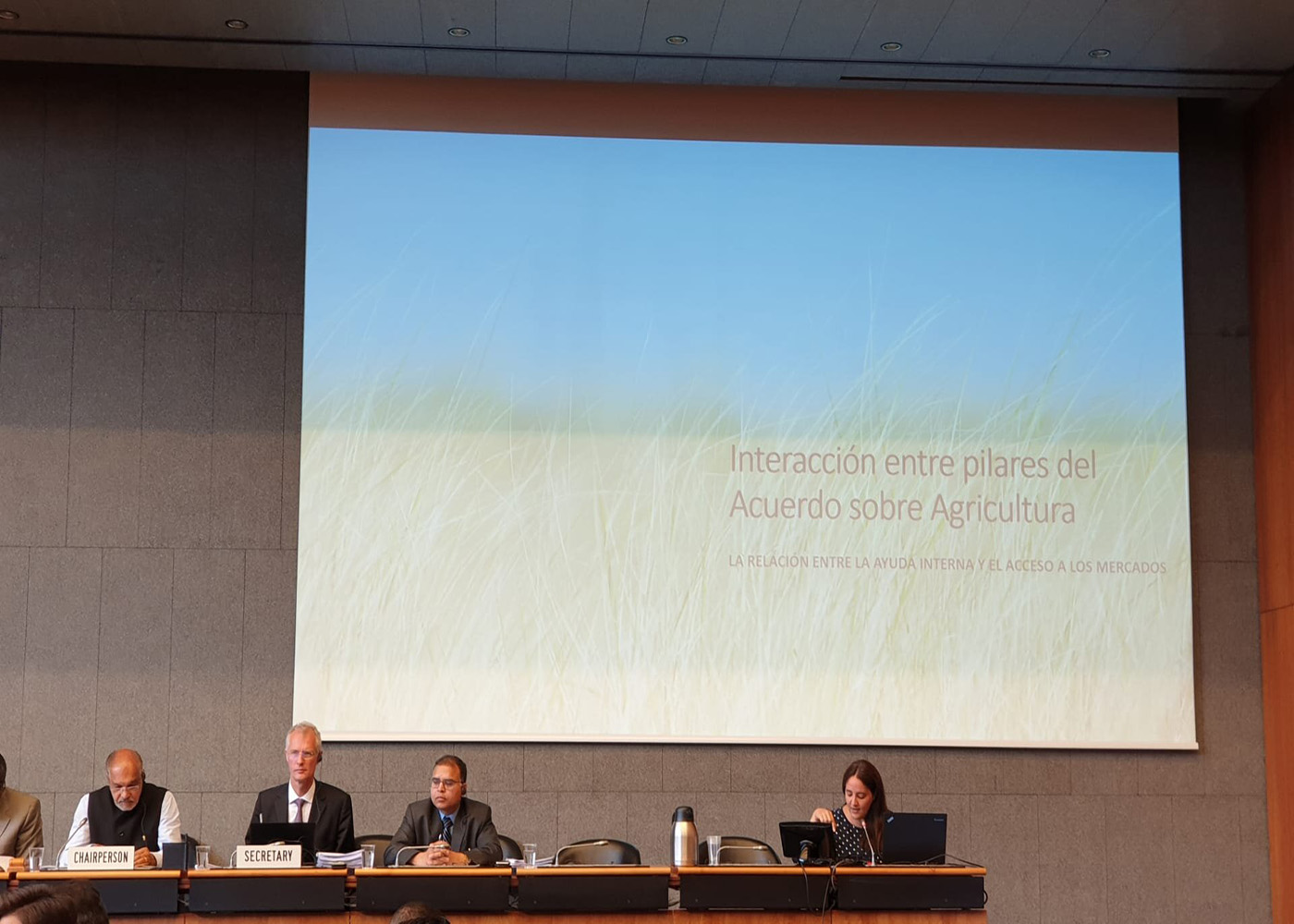 Paraguay presenta documento sobre interacción entre barreras arancelarias y subsidios agrícolas