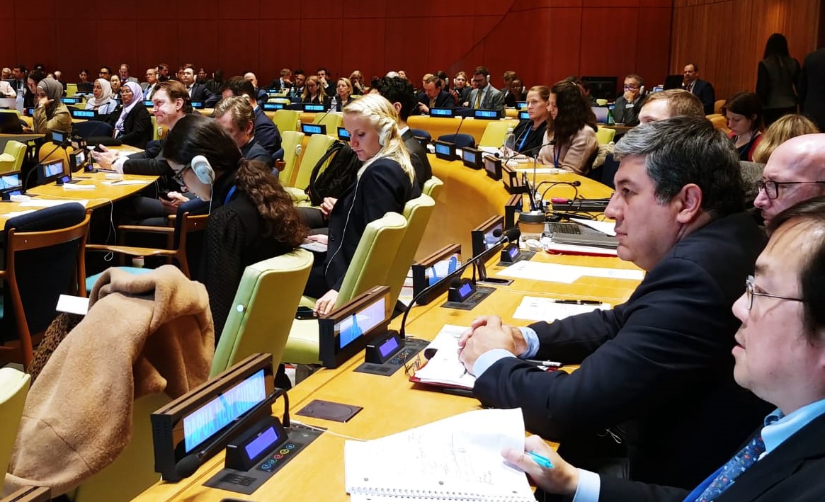 Paraguay participa en reunión sobre el uso del poder de veto respecto a crímenes de lesa humanidad