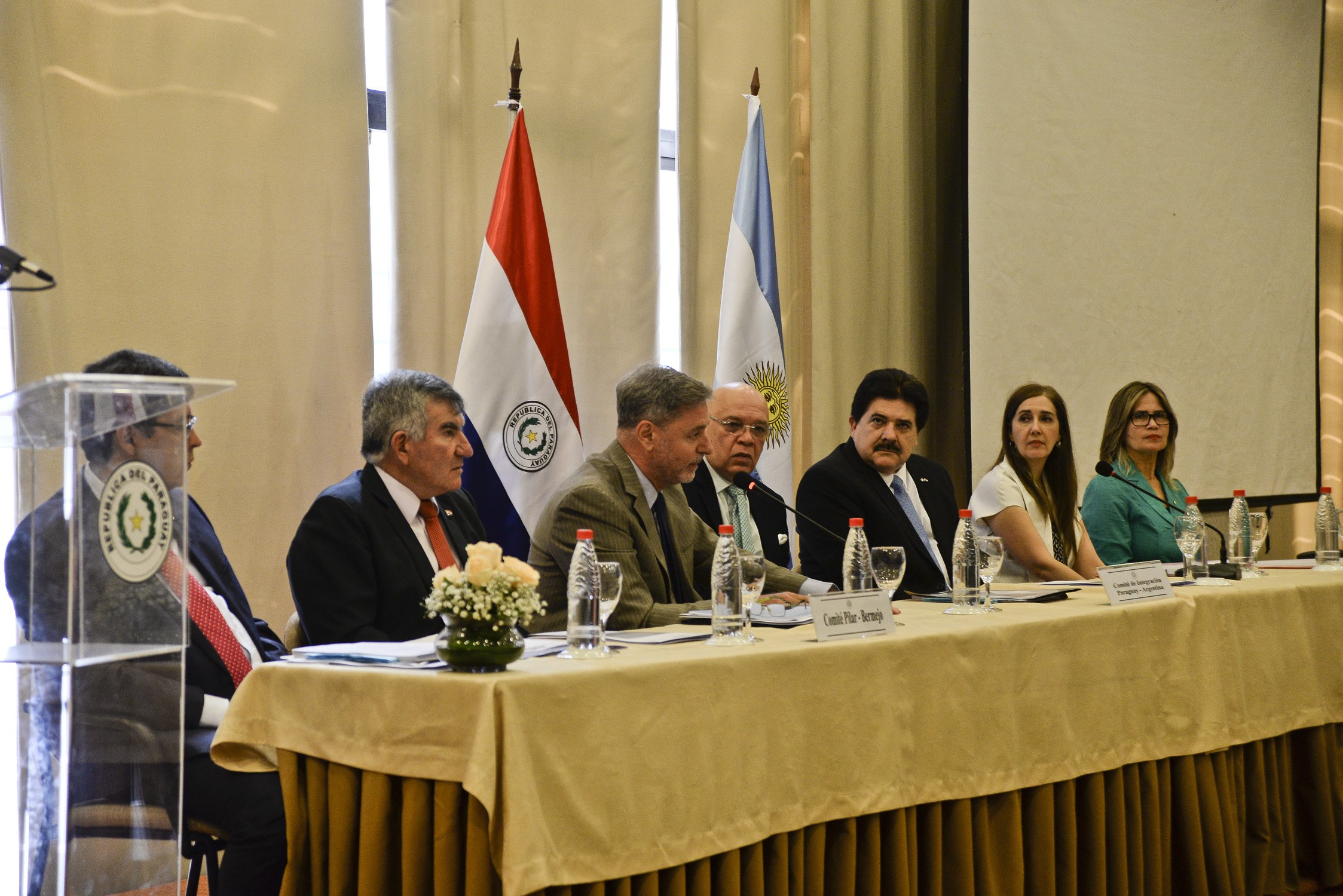 Comités de Integración Paraguay - Argentina se reúnen en Asunción