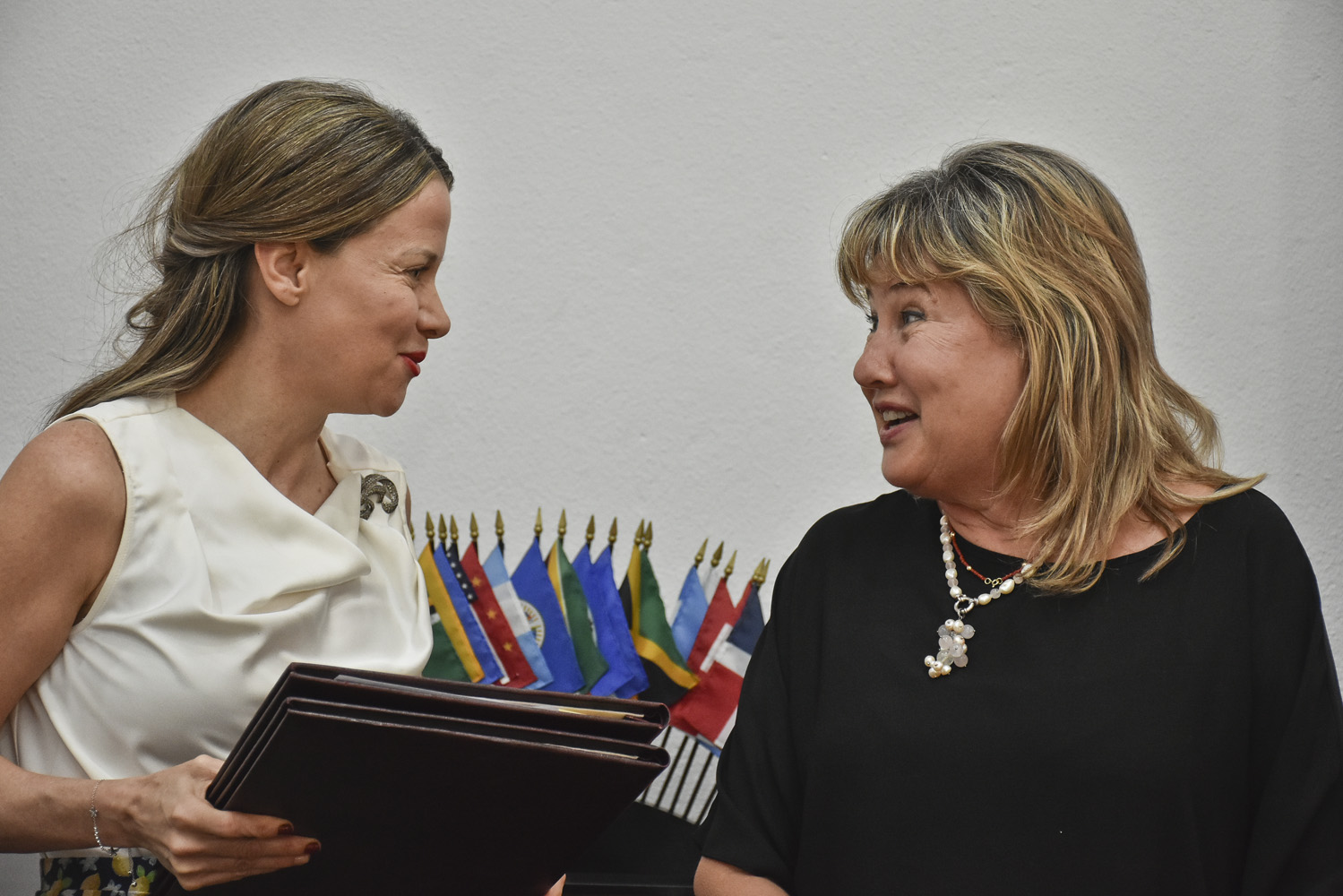 Comisión ODS Paraguay y  CEAMSO suman esfuerzos para cumplir la Agenda 2030
