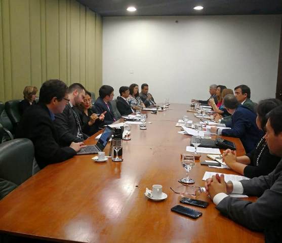 Autoridades de Paraguay y Brasil intercambiaron información en Brasilia respecto a los límites máximos de residuos de agroquímicos