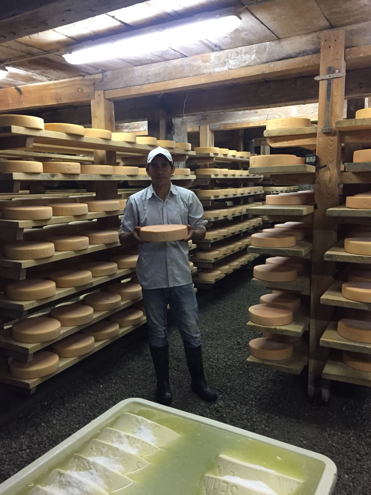 Embajadora del Paraguay en Suiza visitó jóvenes connacionales becados que se capacitan para la producción de quesos
