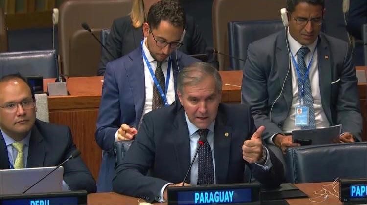 Paraguay defiende un tratado internacional universal sobre biodiversidad marina
