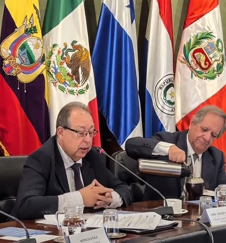 Paraguay expuso sobre comercio exterior en “Ciclo Países” de ALADI 