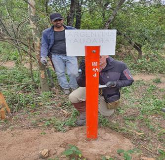 trabajos de campaña2.png